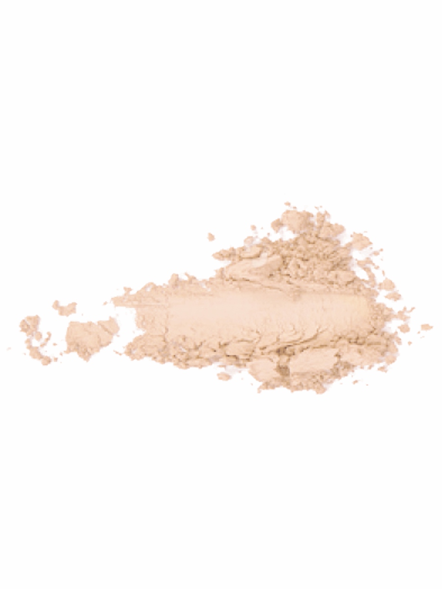 Пудра компактная Instyle Wet & Dry Powder, тон 003 Sand Beige от TopFace + 2