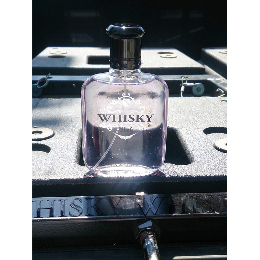 Туалетная вода мужская Whisky Black 100мл  от Evaflor + 3