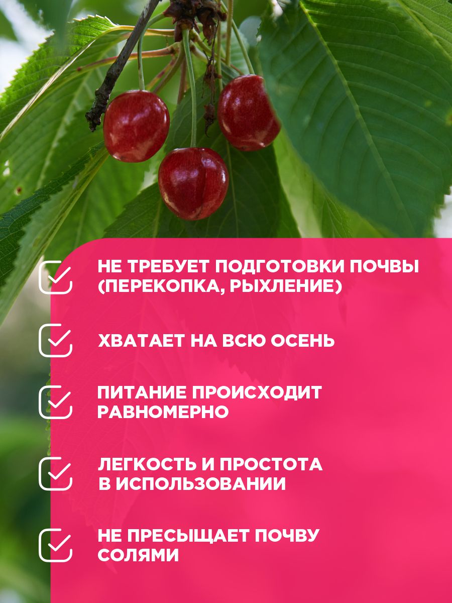 Удобрение минеральное Ракета Осеннее для плодовых (колышки) 420г от Био-комплекс + 6