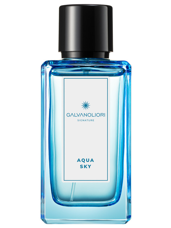 GalvanoLiori Туалетная вода мужская Signature Aqua Sky 100мл от Parfums Constantine + 1