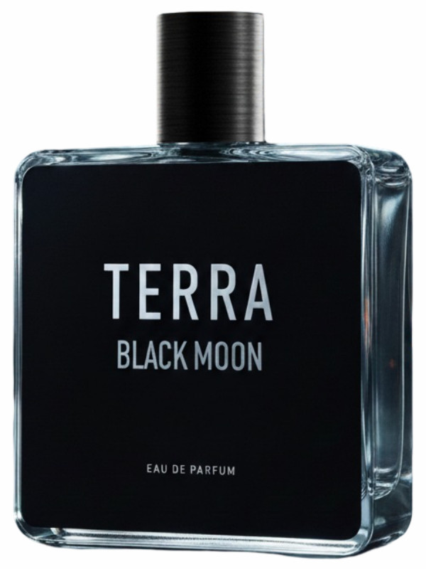 Парфюмерная вода мужская Terra Black Moon 100мл от Geparlys + 1
