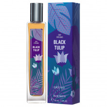 Brocard - Day Dreams Туалетная вода женская Black Tulip 55мл